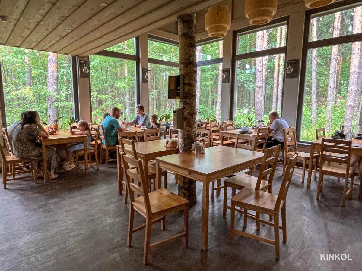 Кафе в экопарке Иволга в Плёсе