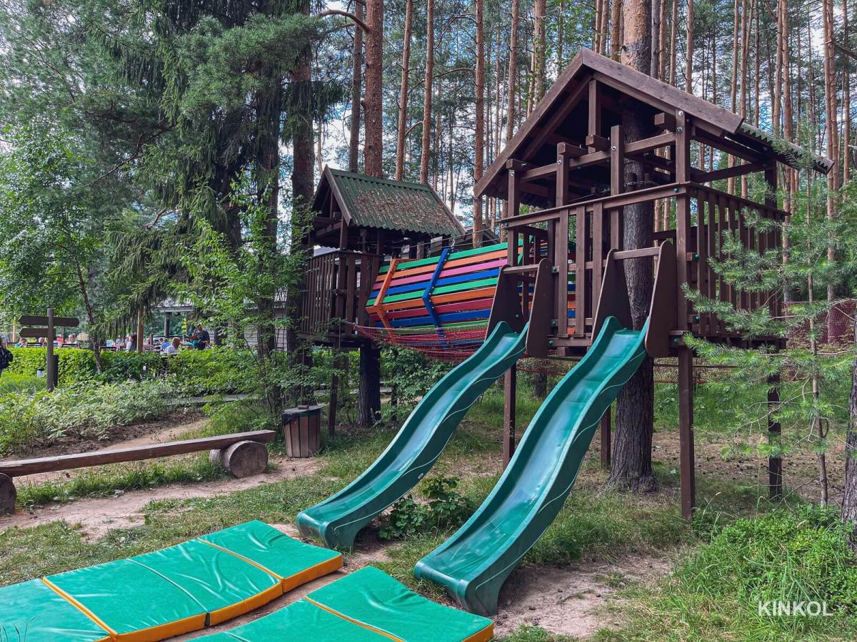 Верёвочные трассы в экопарке «Иволга» в Плёсе