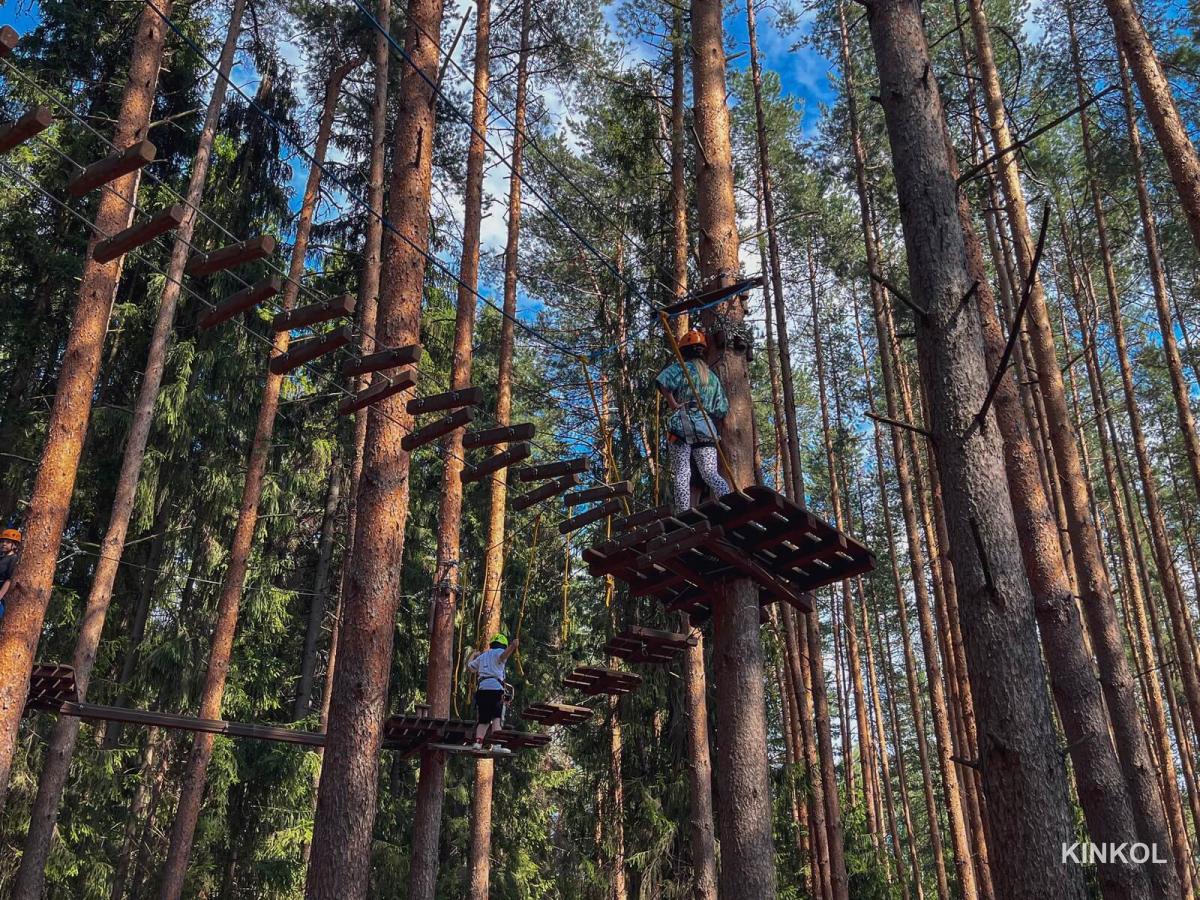 Верёвочные трассы в экопарке «Иволга» в Плёсе