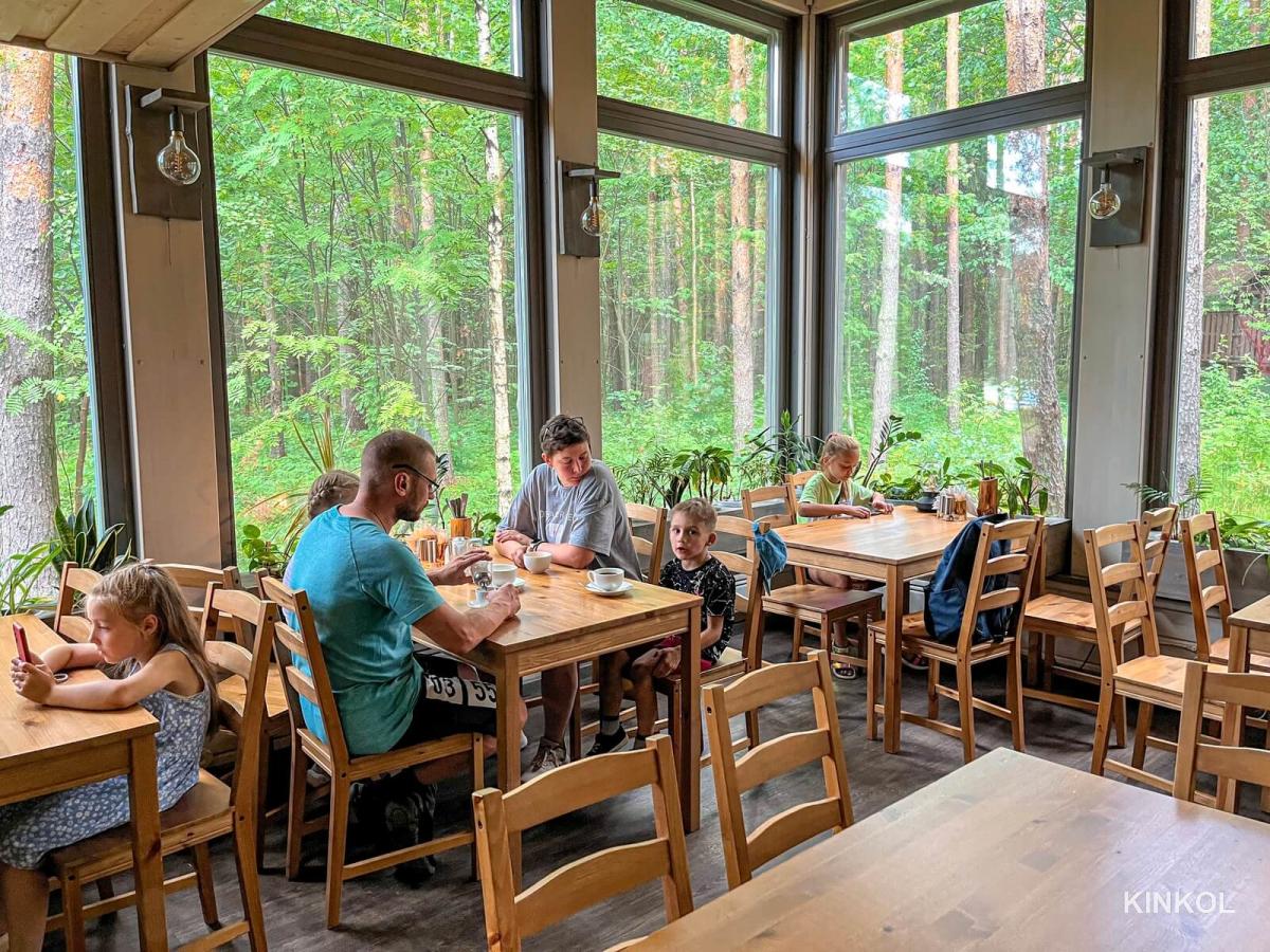 Кафе в экопарке Иволга в Плёсе
