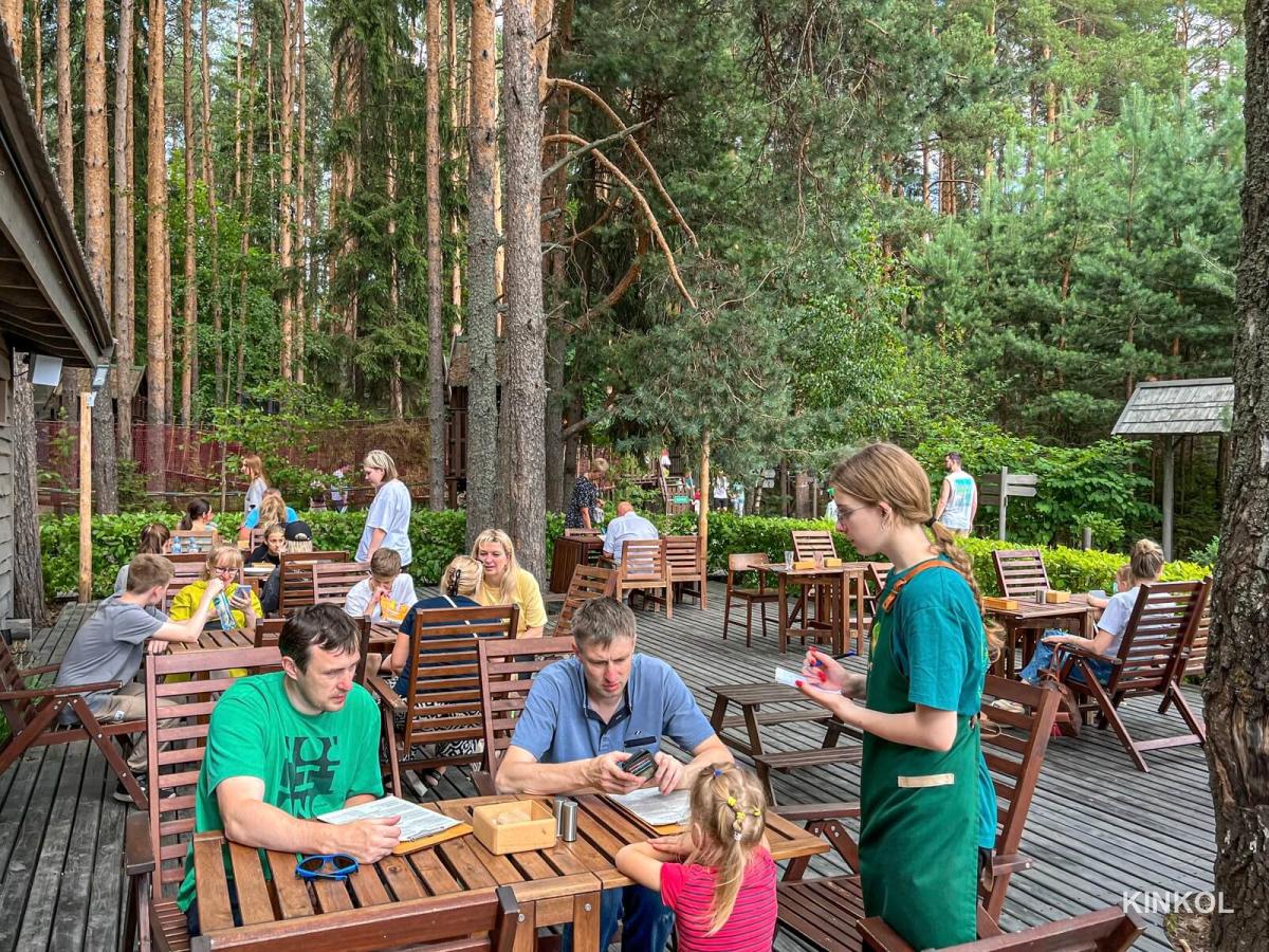 Летняя веранда в экопарке Иволга в Плёсе