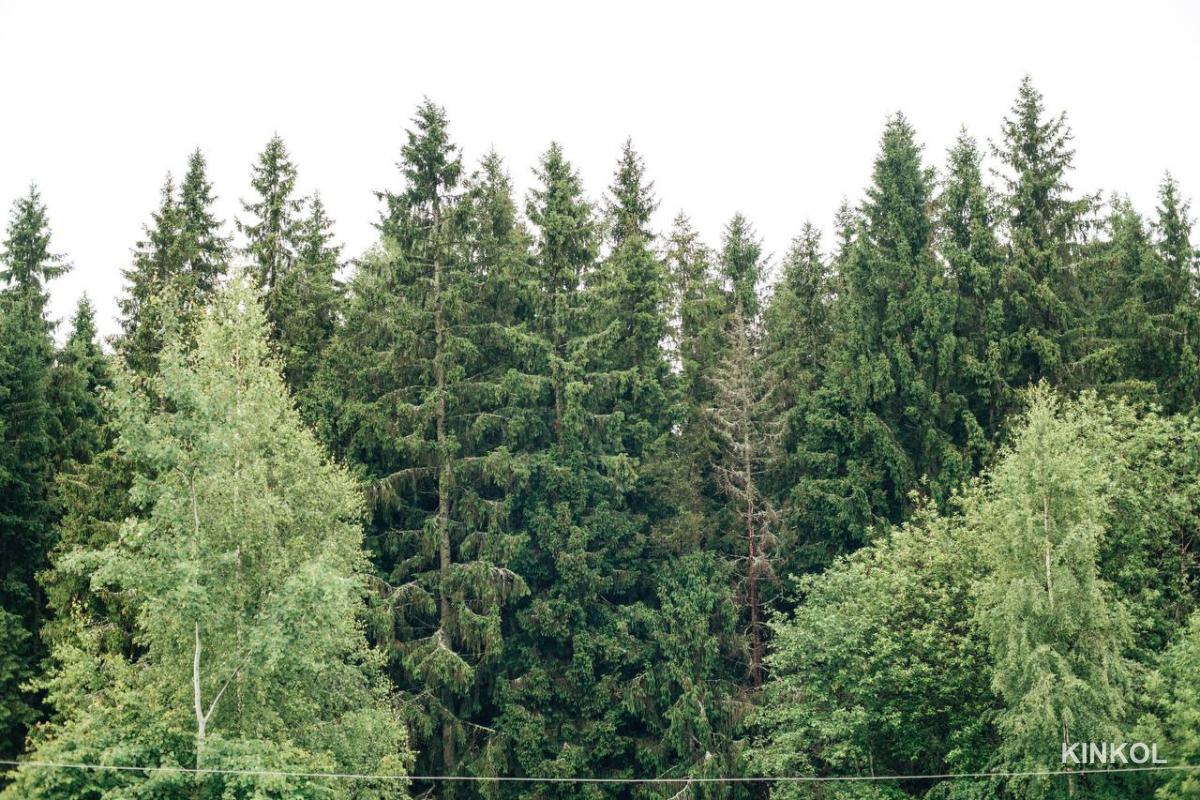 Отель «Галерея Ле'Витан»