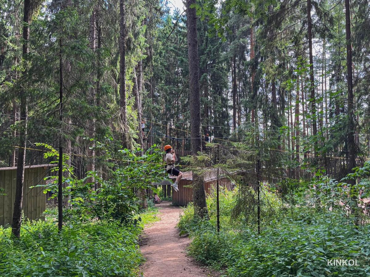 Верёвочные трассы в экопарке «Иволга» в Плёсе