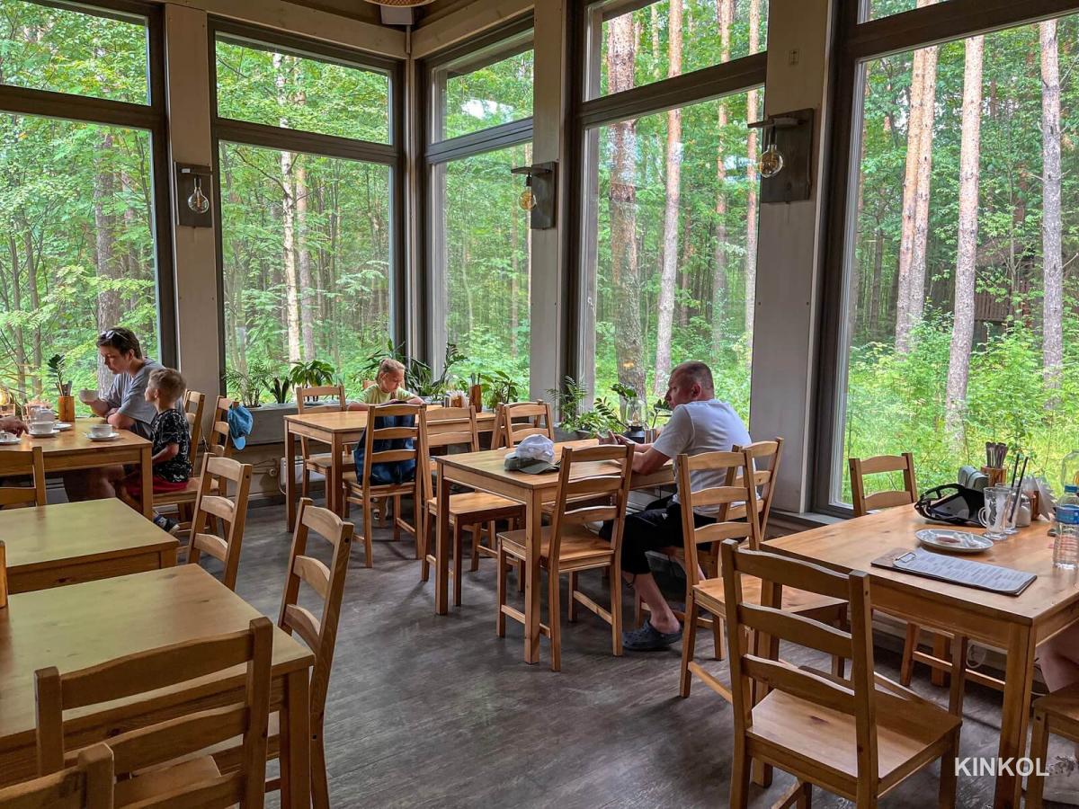 Кафе в экопарке Иволга в Плёсе