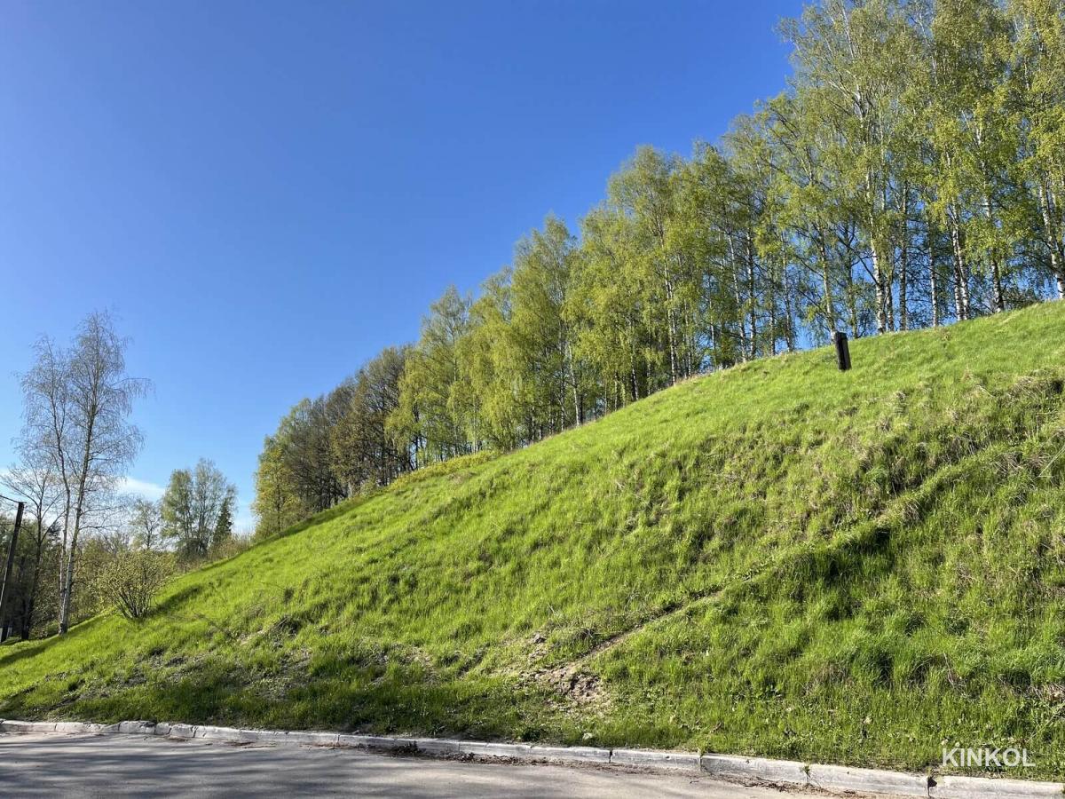 Земляной вал и ров плёсской крепости на Соборной горе