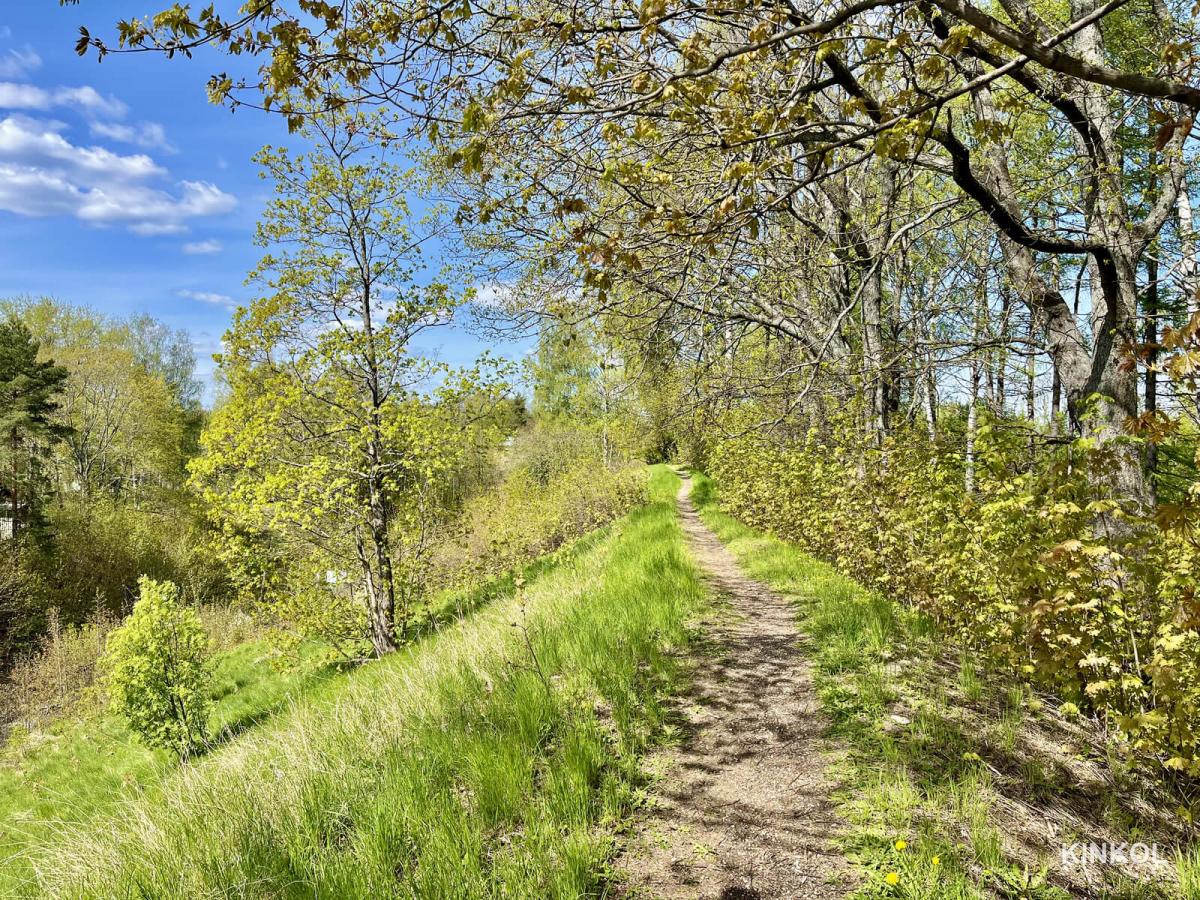 Земляной вал плёсской крепости на Соборной горе
