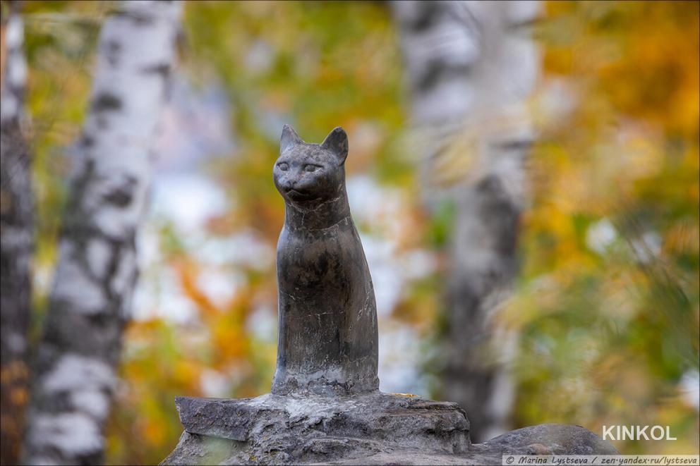 Памятник кошке Мухе в Плёсе