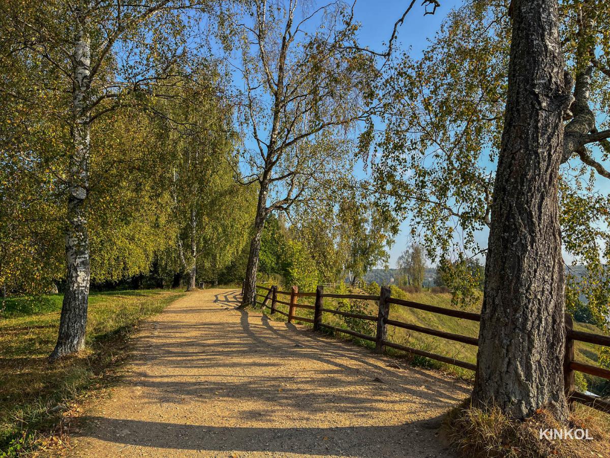 Соборная гора в Плёсе