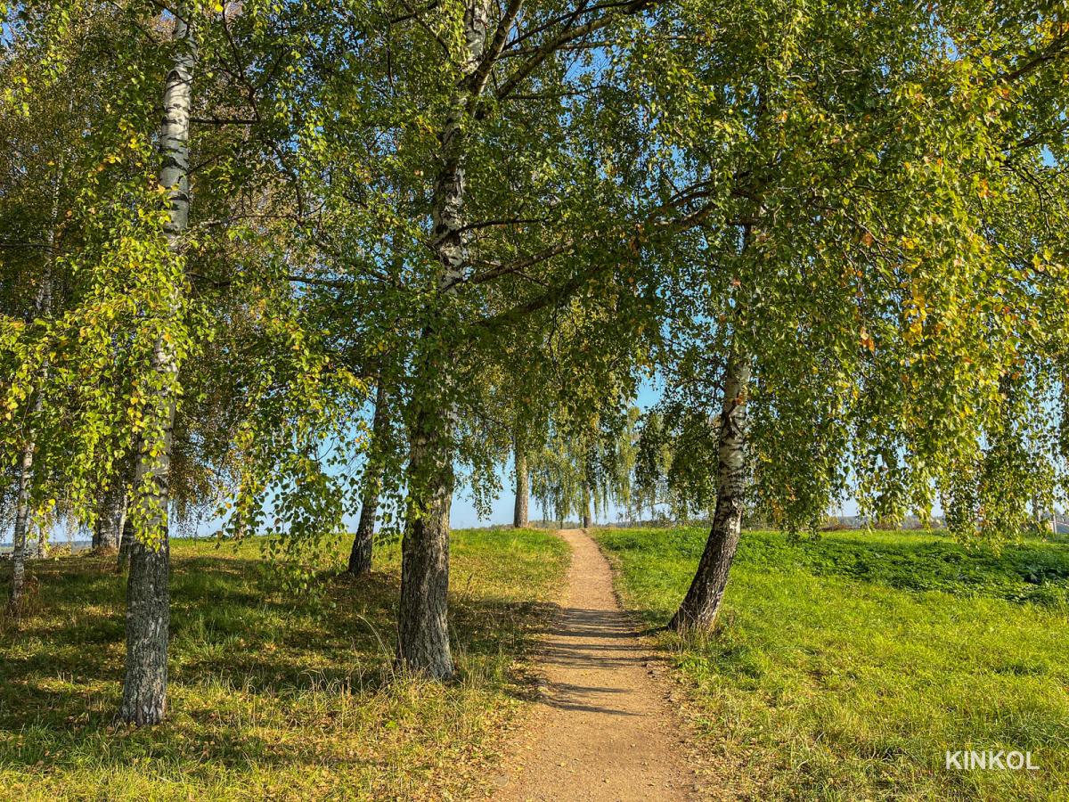 Соборная гора в Плёсе