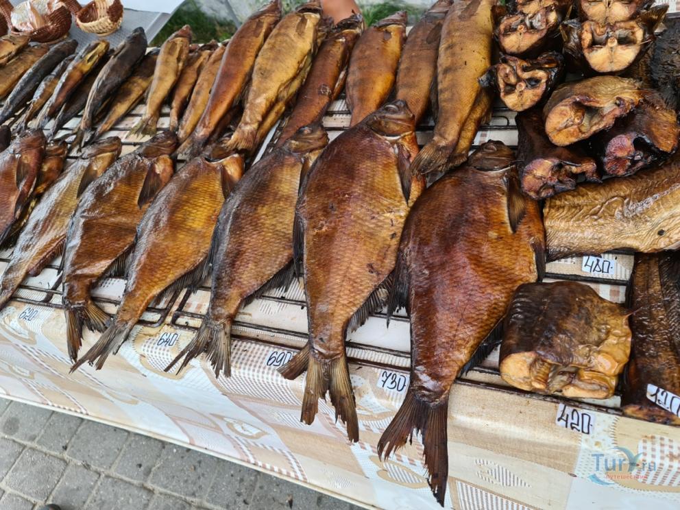 Копчёный лещ в Плёсе