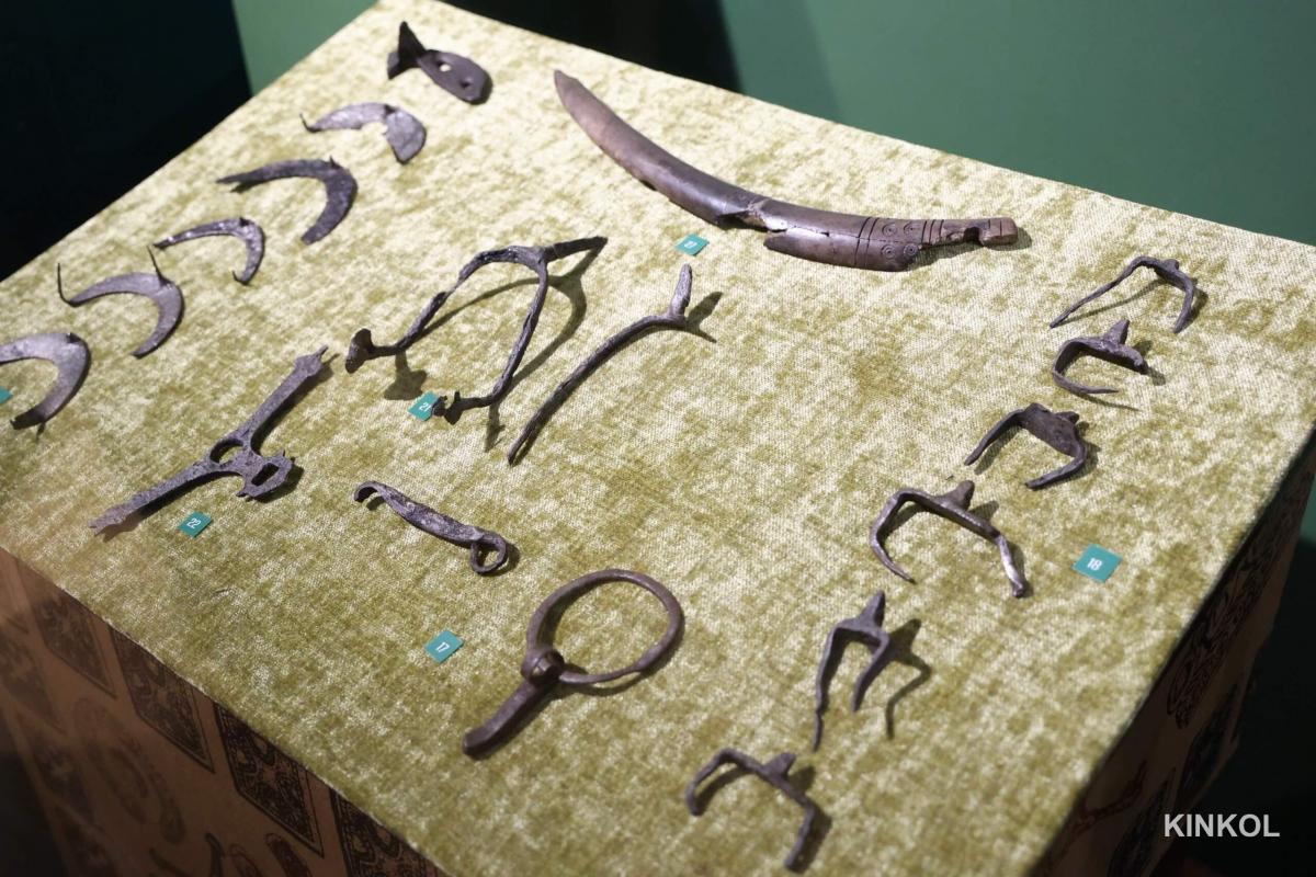 Выставка «Изборск - железный город»